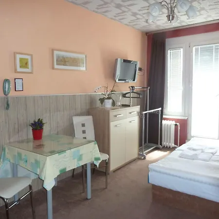 Rezidence Davids Apartament *