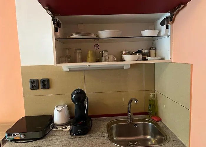 Rezidence Davids * プラハ