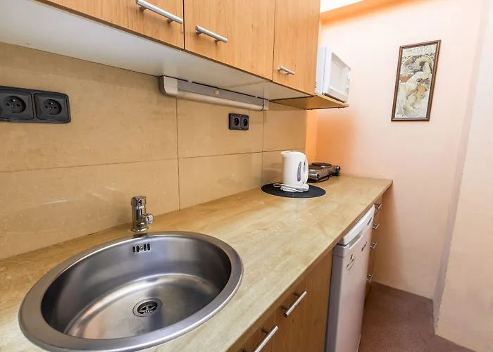 Rezidence Davids * プラハ