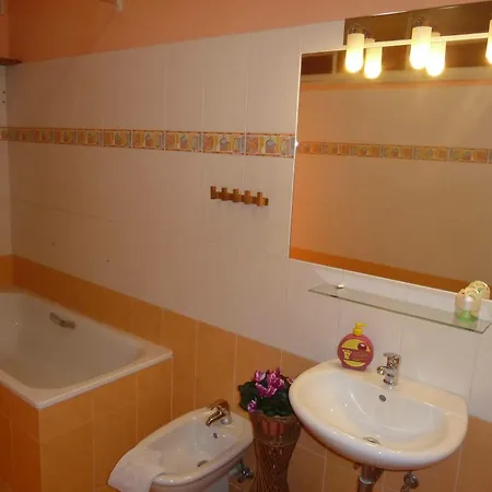 Rezidence Davids アパート *