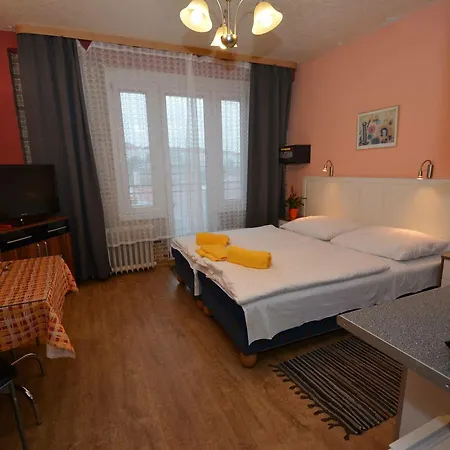 Apartmán Rezidence Davids Praha